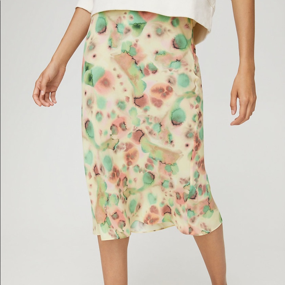 Aritzia skirt